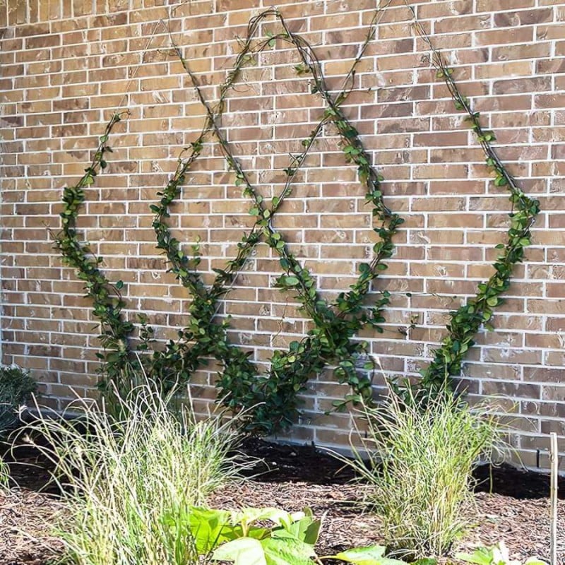 Best reviews of ???? Marksman Garden Wire Green Plastic ???? Coated Multi Purpose 3mm 5m 70240C ???? 5 Best reviews of ???? Marksman Garden Wire Green Plastic ???? Coated Multi Purpose 3mm 5m 70240C ???? - Image 3