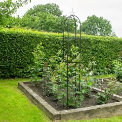 Cheapest ???? Kingfisher Garden Obelisk Rose Or Climbing Plant Metal Support Frame 1.9m WGO ???? -Silverline Shop unnamed file 1118