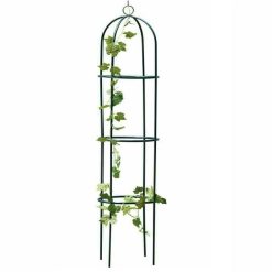 Wholesale ???? Marksman Metal Garden Obelisk Rose Or Climbing Plant Support Frame 1.9m 70348c ???? -Silverline Shop unnamed file 1139