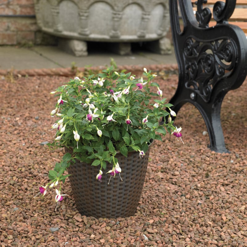 Flash Sale ✨ Kingfisher Garden Kingfisher Rattan House Garden Flower Plant Pot Interwoven Design 13.5 Inch PPOT03 ???? 6 Flash Sale ✨ Kingfisher Garden Kingfisher Rattan House Garden Flower Plant Pot Interwoven Design 13.5 Inch PPOT03 ???? - Image 4