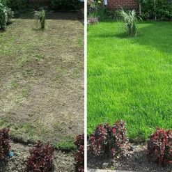 Top 10 ⌛ Doff Cut And Cover Lawn Grass Thickener Feed Seed 1.5kg F-LX-A50-DOF D ⌛ -Silverline Shop unnamed file 125