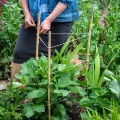 Brand new ???? Green Blade Garden And House Plant Natural Bamboo Support 600mm X10 PS210 ???? -Silverline Shop unnamed file 195