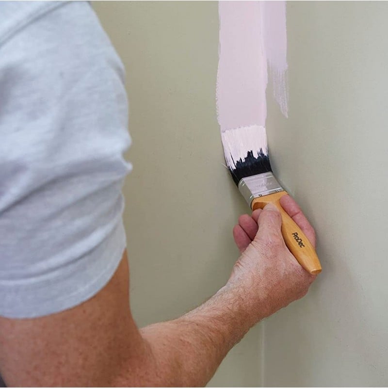 Deals ⭐ Prodec Craftsman Premium 1/2 Inch 12mm Paint Varnish Brush R64105C ???? 9 Deals ⭐ Prodec Craftsman Premium 1/2 Inch 12mm Paint Varnish Brush R64105C ???? - Image 7