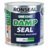Wholesale ⭐ Ronseal One ???? Coat Damp Seal White Paint 250ml 37562 ???? -Silverline Shop unnamed file 2569