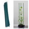 Budget ✔️ Silverline Tools Silverline Green Bamboo Garden Plant Support 600mm 25pk 496102 ???? 2 Budget ✔️ Silverline Tools Silverline Green Bamboo Garden Plant Support 600mm 25pk 496102 ???? -Silverline Shop unnamed file 272