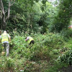 Buy ???? Am-Tech Amtech Garden Machete And Sheath Weed Slasher R2240 ???? -Silverline Shop unnamed file 291