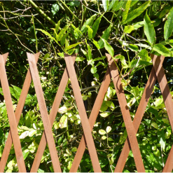 Best reviews of ???? Kingfisher Garden Plant Expanding Wooden Trellis TRELIS3 6ft X 3ft ⭐ -Silverline Shop unnamed file 45