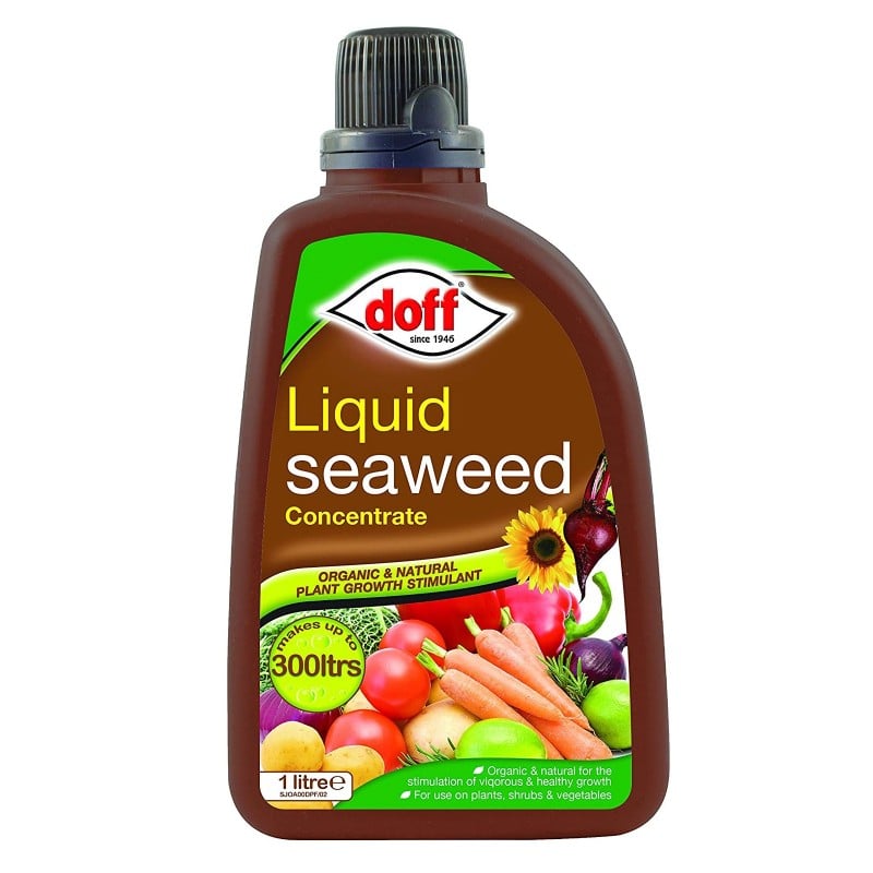 Hot Sale ???? Doff Garden Seaweed Plant Feed All Purpose Liquid Fertiliser 1 Litre ???? 3 Hot Sale ???? Doff Garden Seaweed Plant Feed All Purpose Liquid Fertiliser 1 Litre ????