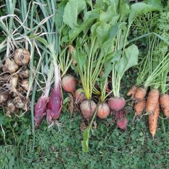 Hot Sale ???? Doff Garden Seaweed Plant Feed All Purpose Liquid Fertiliser 1 Litre ???? 18 Hot Sale ???? Doff Garden Seaweed Plant Feed All Purpose Liquid Fertiliser 1 Litre ???? -Silverline Shop unnamed file 497