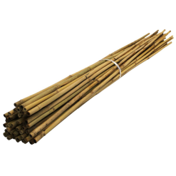 Brand new ???? Green Blade Garden And House Plant Natural Bamboo Support 600mm X10 PS210 ????