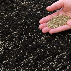 Best deal ???? Doff Green Fingers Lawn Seed + Bio ???? Coat Lawn Grass Seed 1kg F-LO-A00-DGF ???? 12 Best deal ???? Doff Green Fingers Lawn Seed + Bio ???? Coat Lawn Grass Seed 1kg F-LO-A00-DGF ???? -Silverline Shop unnamed file 501