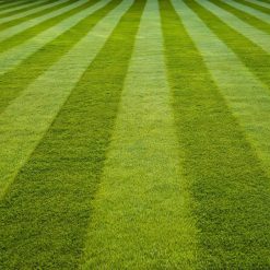 Best deal ???? Doff Green Fingers Lawn Seed + Bio ???? Coat Lawn Grass Seed 1kg F-LO-A00-DGF ???? 16 Best deal ???? Doff Green Fingers Lawn Seed + Bio ???? Coat Lawn Grass Seed 1kg F-LO-A00-DGF ???? -Silverline Shop unnamed file 505