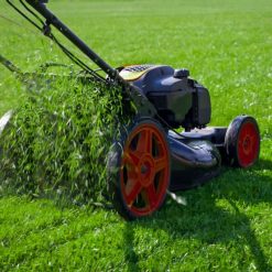 Wholesale ⌛ Doff Green Fingers Lawn Seed + Bio ???? Coat Lawn Grass Seed 500g F-LC-500-DGF ✔️ -Silverline Shop unnamed file 512