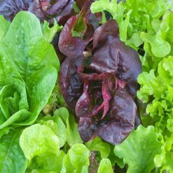 Buy ???? Doff Green Fingers Organic Multi-Purpose Concentrated Plant Feed 900ml F-JC-900-DGF ???? -Silverline Shop unnamed file 550