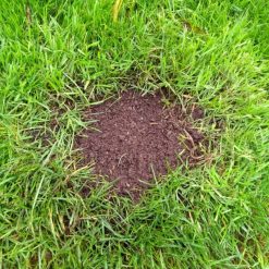 Best Pirce ???? Doff Green Fingers Patch Fix Plus Grass Seed Feed Coco Coir 800g F-LA-800-DGF ???? -Silverline Shop unnamed file 557