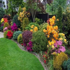 Hot Sale ❤️ Doff Growmore Multi-Purpose Plant Feed Fertiliser 2kg FMBB00DOF01 ???? -Silverline Shop unnamed file 600