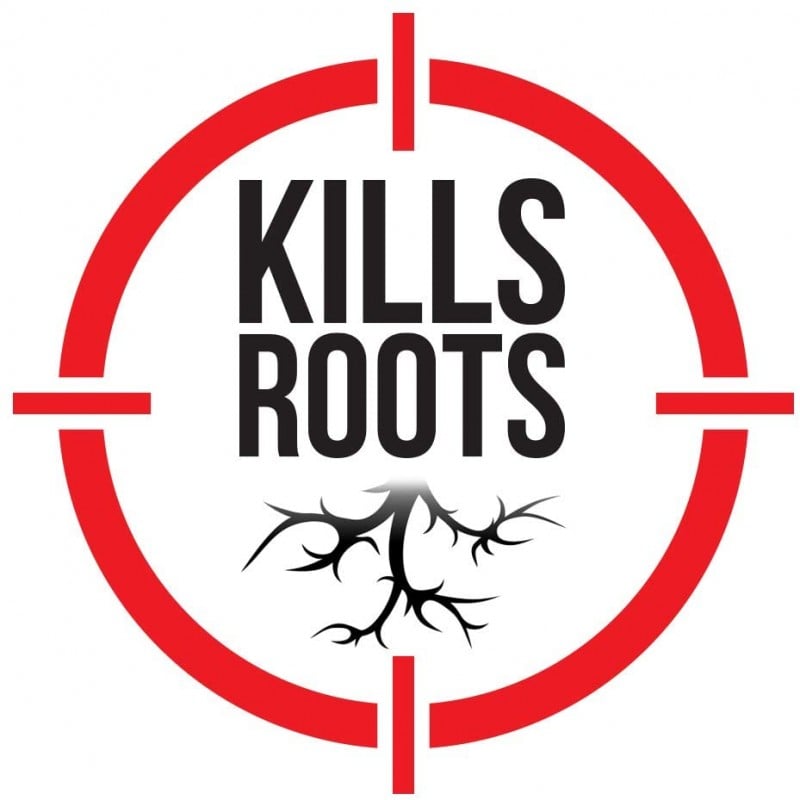 Promo ???? DOFF Lawn Weedkiller 1 Litre RTU Weed Killer Spray F-LP-A00-DOF-01 ???? 11 Promo ???? DOFF Lawn Weedkiller 1 Litre RTU Weed Killer Spray F-LP-A00-DOF-01 ???? - Image 9