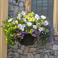 Best Pirce ???? Doff Lightweight Container & Basket Plant Compost 15L FWJO00DOF ???? 17 Best Pirce ???? Doff Lightweight Container & Basket Plant Compost 15L FWJO00DOF ???? -Silverline Shop unnamed file 659