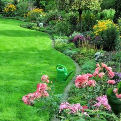 Outlet ❤️ Doff Multi Purpose Lawn Grass Seed PROCOAT FLDA00DOF01 1kg ???? -Silverline Shop unnamed file 673