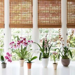 New ✔️ Doff Orchid Indoor Outdoor Liquid Plant Feed 180ml FYC180DOF ⭐ -Silverline Shop unnamed file 694