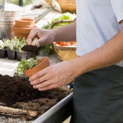 Wholesale ???? Doff Peat Free Multipurpose Premium Compost 15L FWAO00DOF ???? -Silverline Shop unnamed file 716