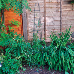 Deals ???? Kingfisher Garden Pyramid Obelisk Plant Metal Wire Support Frame 48 Inch PGS48 ???? -Silverline Shop unnamed file 75