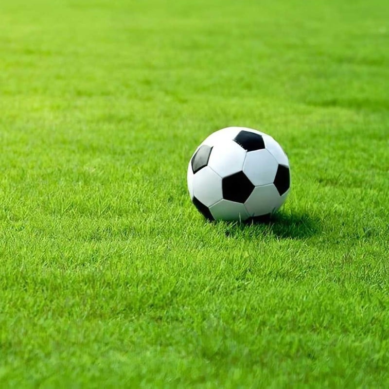 Promo ???? Doff Power Up Superfast Lawn Grass Seed NITRO-COAT 500g F-LQ-500-DPU β 5 Promo ???? Doff Power Up Superfast Lawn Grass Seed NITRO-COAT 500g F-LQ-500-DPU β - Image 3