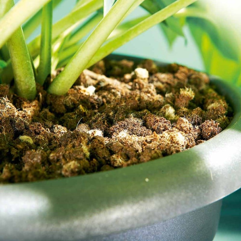 Flash Sale ✨ Doff Slugs Be Gone 3 In 1 Wool Pellets Pesticide Free Slug Deterrent 1 Litre DP1096 ???? 4 Flash Sale ✨ Doff Slugs Be Gone 3 In 1 Wool Pellets Pesticide Free Slug Deterrent 1 Litre DP1096 ???? - Image 2