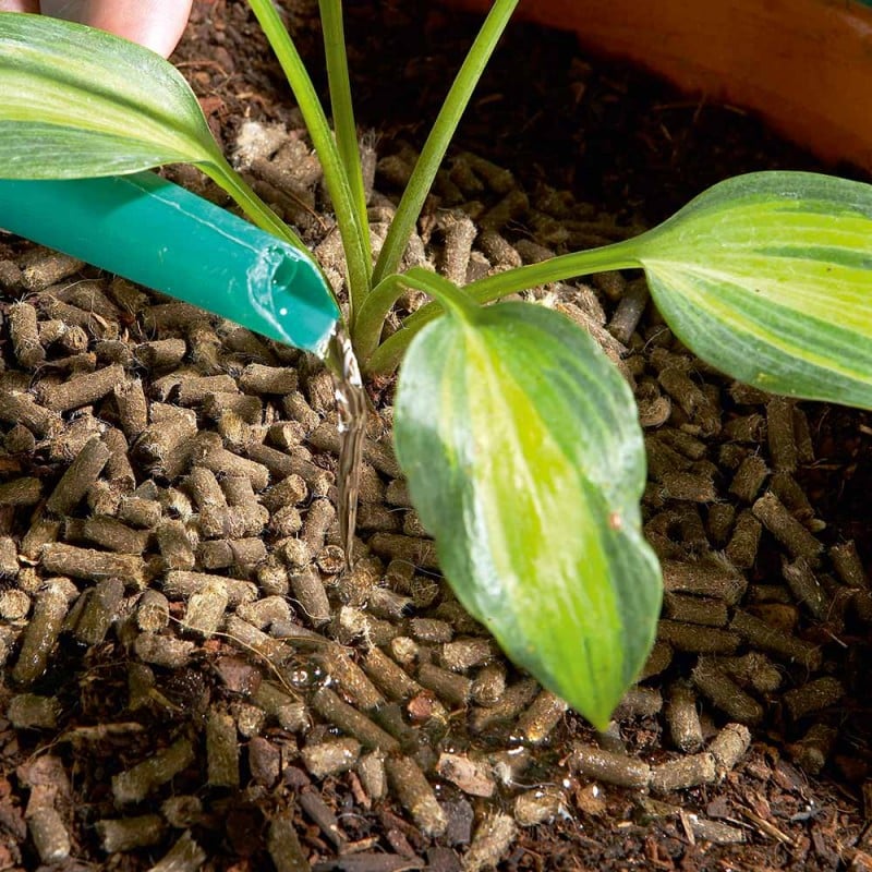 Flash Sale ✨ Doff Slugs Be Gone 3 In 1 Wool Pellets Pesticide Free Slug Deterrent 1 Litre DP1096 ???? 7 Flash Sale ✨ Doff Slugs Be Gone 3 In 1 Wool Pellets Pesticide Free Slug Deterrent 1 Litre DP1096 ???? - Image 5