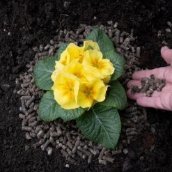 Flash Sale ✨ Doff Slugs Be Gone 3 In 1 Wool Pellets Pesticide Free Slug Deterrent 1 Litre DP1096 ???? 20 Flash Sale ✨ Doff Slugs Be Gone 3 In 1 Wool Pellets Pesticide Free Slug Deterrent 1 Litre DP1096 ???? -Silverline Shop unnamed file 781