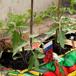 Deals ???? Doff Tomato Ready Mixed Liquid Pour And Feed Plant Food 3 Litre F-JS-C00-DOF-03 ⌛ -Silverline Shop unnamed file 834