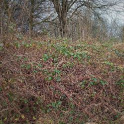 Best reviews of ???? Doff Tree Stump And Tough Weed Killer 2 Sachets F-FG-002-DOF ???? -Silverline Shop unnamed file 844