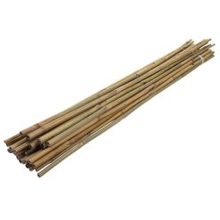 Flash Sale ???? Green Blade Garden And House Plant Natural Bamboo Support 900mm X10 PS211 ???? 11 Flash Sale ???? Green Blade Garden And House Plant Natural Bamboo Support 900mm X10 PS211 ???? -Silverline Shop unnamed file 949