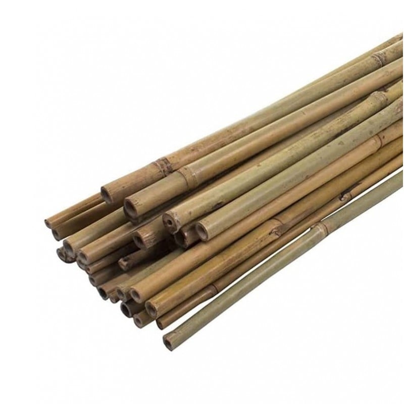 Flash Sale ???? Green Blade Garden And House Plant Natural Bamboo Support 900mm X10 PS211 ???? 5 Flash Sale ???? Green Blade Garden And House Plant Natural Bamboo Support 900mm X10 PS211 ???? - Image 3
