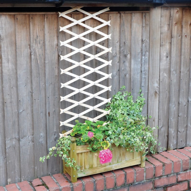 Cheapest ???? Kingfisher Garden Plant Riveted Wood Trellis Natural 6ft X 2ft TR2HD ???? 7 Cheapest ???? Kingfisher Garden Plant Riveted Wood Trellis Natural 6ft X 2ft TR2HD ???? - Image 5
